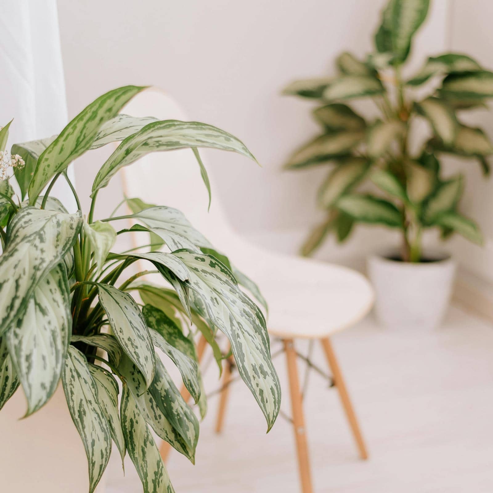 Website für Therapeutinnen