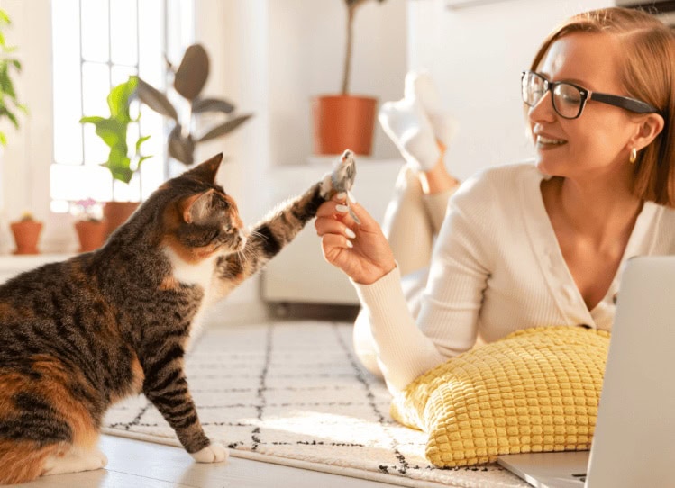 4 Schritte zur perfekten Über mich-Seite 4 Schritte zur perfekten Über mich-Seite